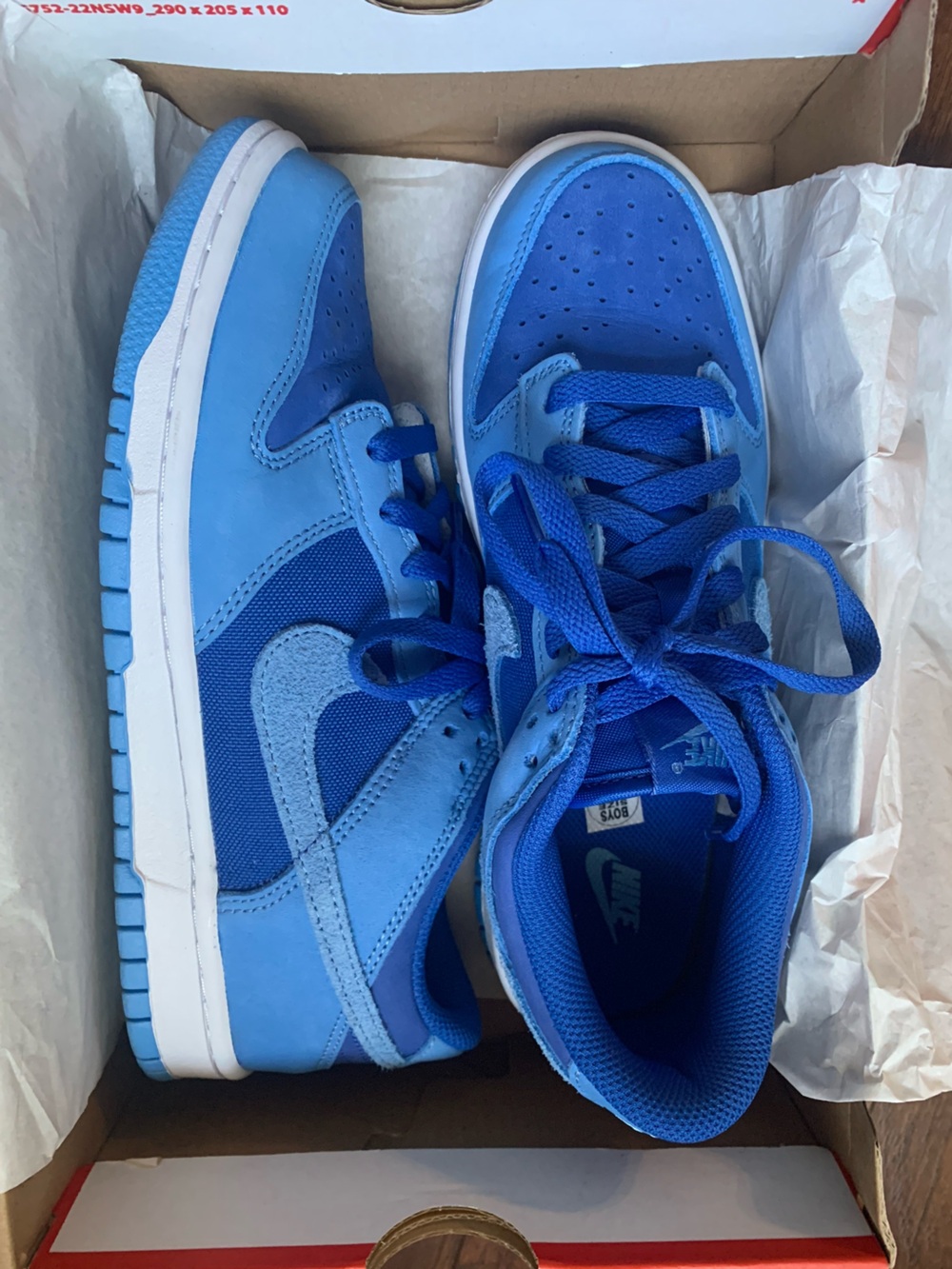 Nike Blue Low-Top Sneakers